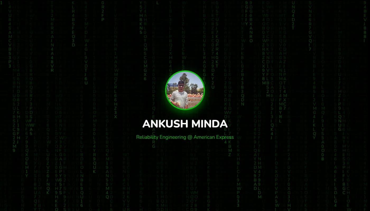 Ankush Minda's portfolio