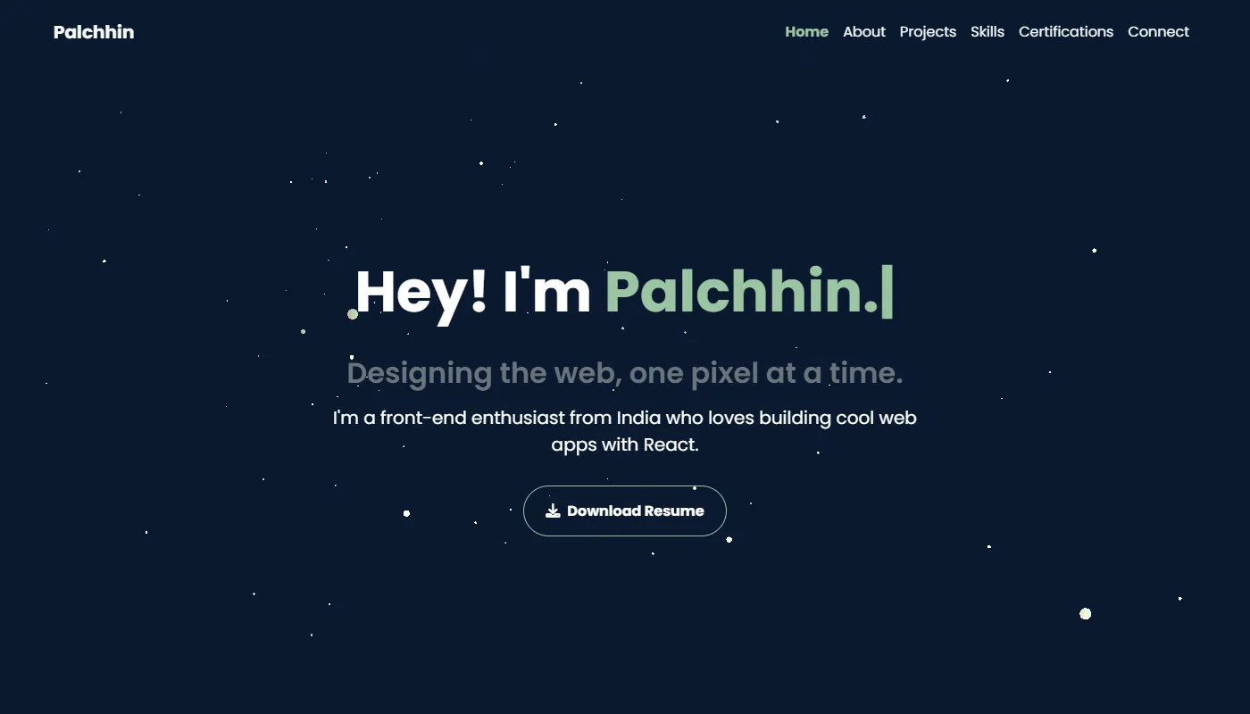 Palchhin's portfolio