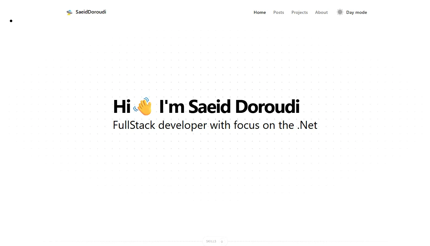 Saeid Doroudi's portfolio