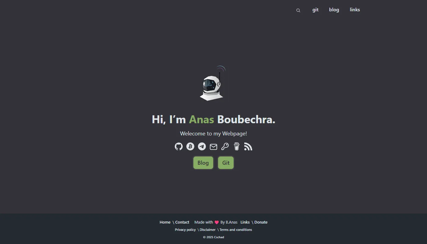 Anas Boubechra's portfolio
