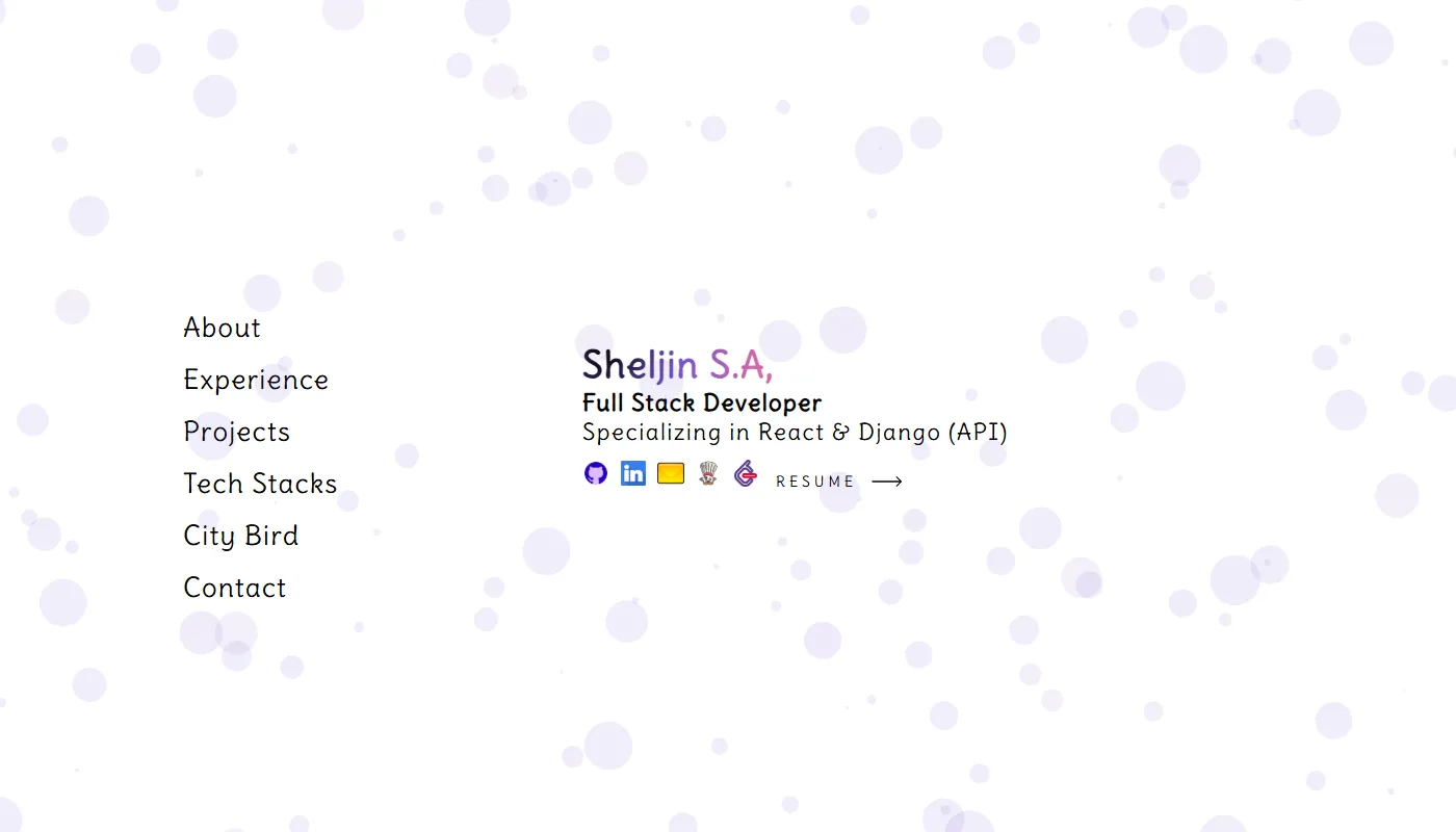 Sheljin's portfolio